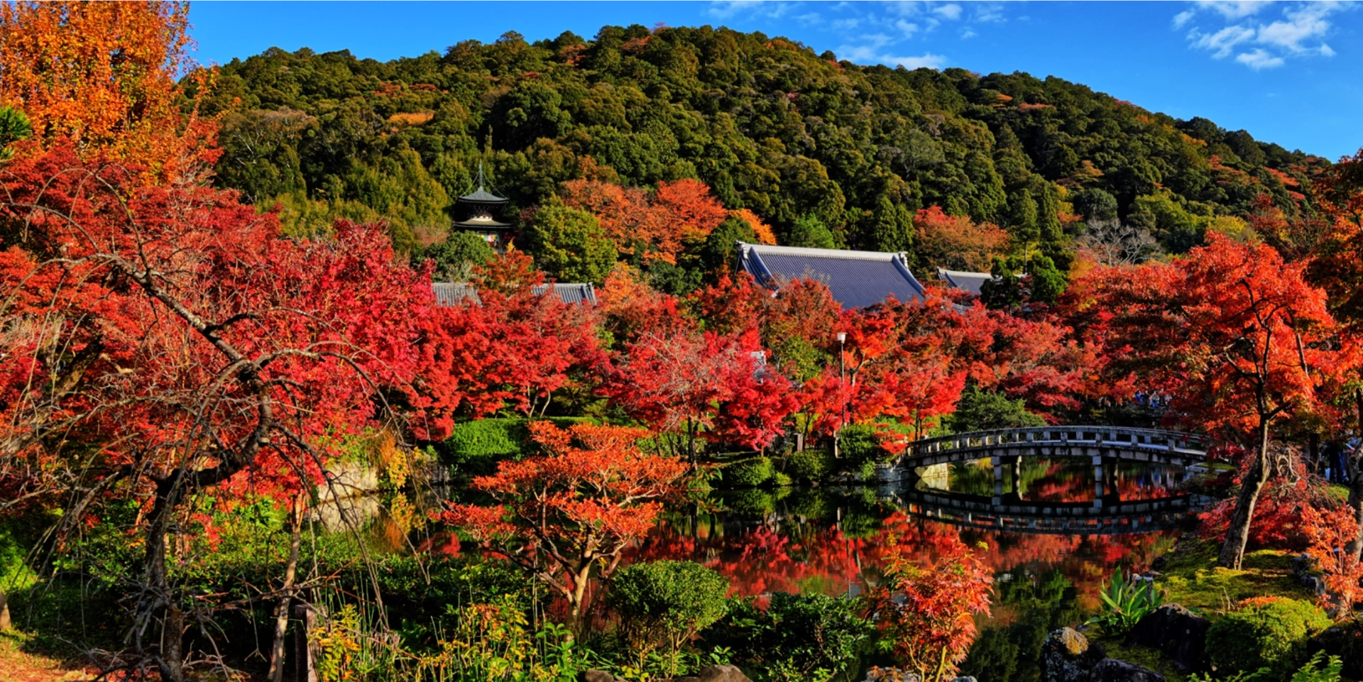 herbst
